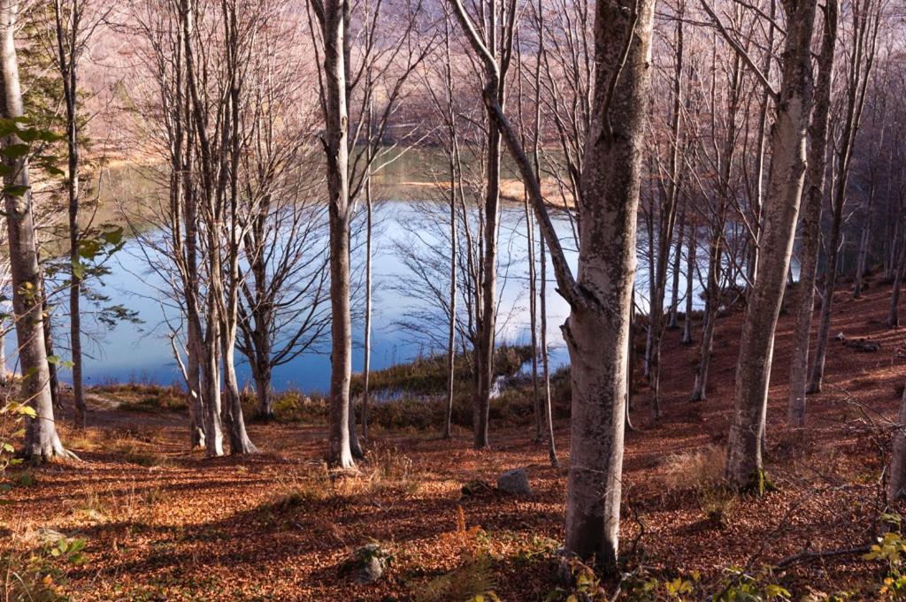 Comano  Viandanti, Artisti E Sognatori Bed & Breakfast エクステリア 写真